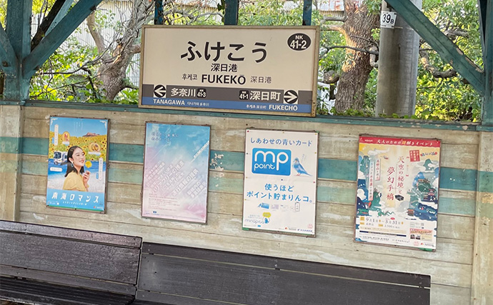 「そろそろメバルが釣れるかも？」 泉南ライトゲームでまさかのアコウ【大阪】