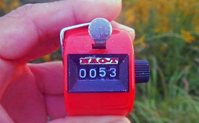 淡水五目釣りで91cm大型ゴイを手中【常陸利根川】ダントウボウとアメナマは連発