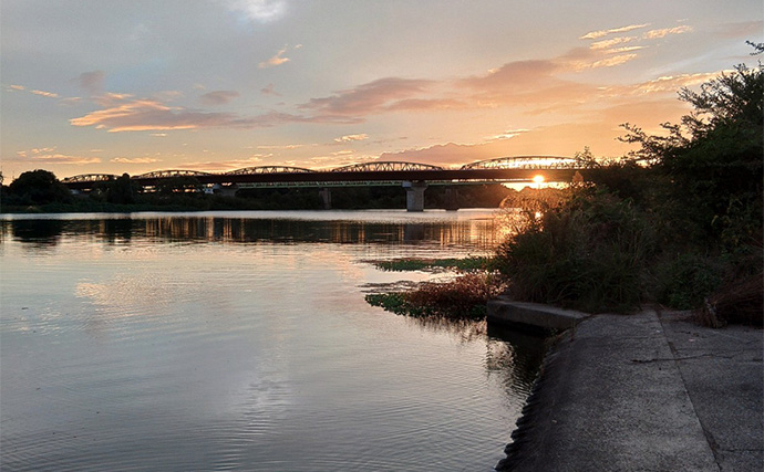 メジャーフィールド「紀の川」でバスフィッシング堪能【和歌山】50cm級バスを狙い撃つ！