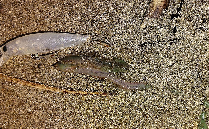 「魚がボイルしてるのにルアーにヒットしない！」 食わないボイルの攻略法2選