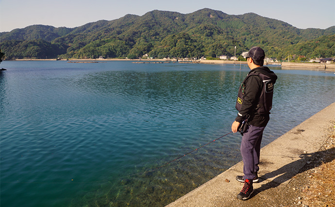 「まさにエギングパラダイス！」DUELのエギ4種を駆使して良型アオリイカ捕獲成功【天草】