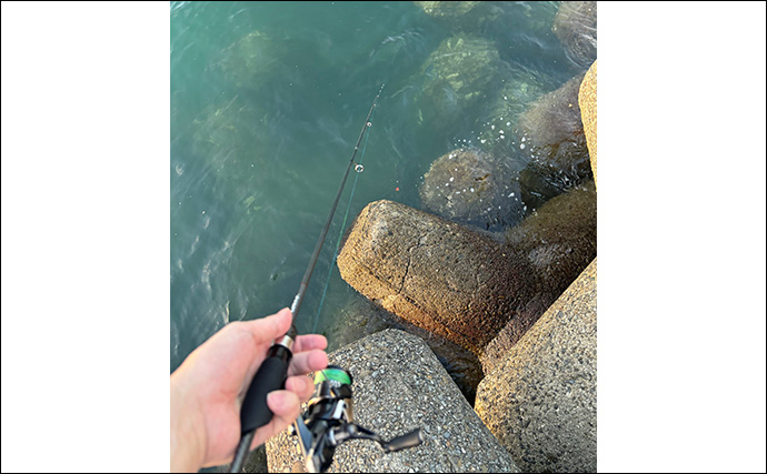 「ミスキャストを自動で補正？」 未来のリールに付いたら嬉しい機能を妄想してみた