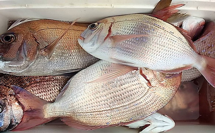 関東エリアの【船釣り特選釣果】鹿島沖のヒラメ解禁！4.1kg頭にトップ規定数達成