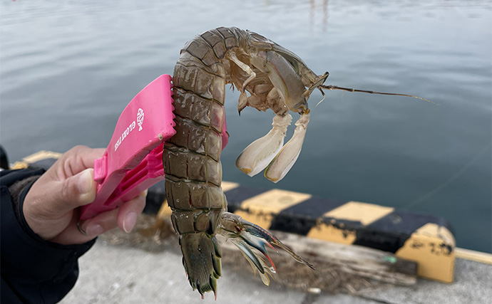 釣り大好き女子が教える【初心者がうっかり忘れがちな＆あると便利な釣行アイテム】