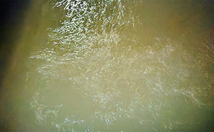 「魚がボイルしてるのにルアーにヒットしない！」 食わないボイルの攻略法2選