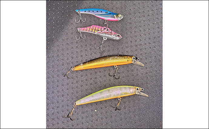 「魚がボイルしてるのにルアーにヒットしない！」 食わないボイルの攻略法2選