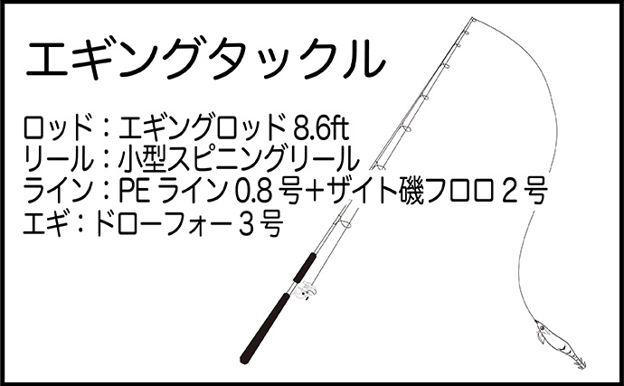 堤防から1kg級モンゴウイカ手中！【熊本】派手なシャクリからの長めステイでヒット