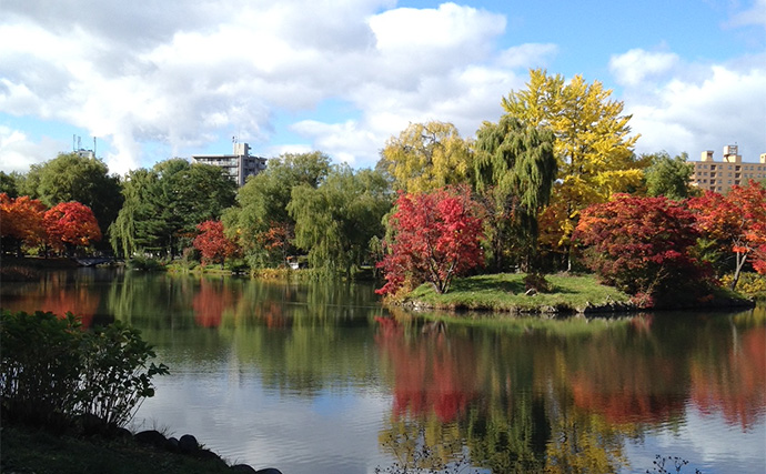 11月〜1月の陸っぱりルアー釣りは「ライトゲーム」がオススメ