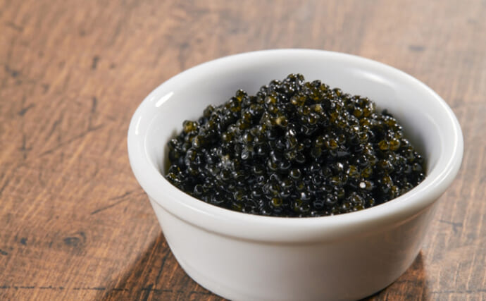 日本で作られたキャビアがあるの知ってる？　美味しさの理由は鮮度の良さにあり