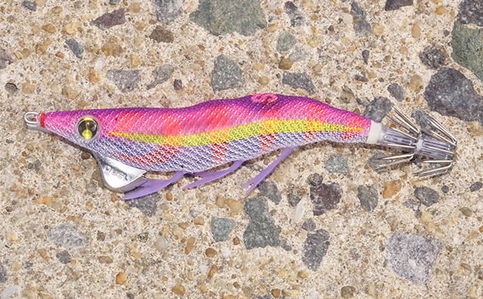 「まさにエギングパラダイス！」DUELのエギ4種を駆使して良型アオリイカ捕獲成功【天草】