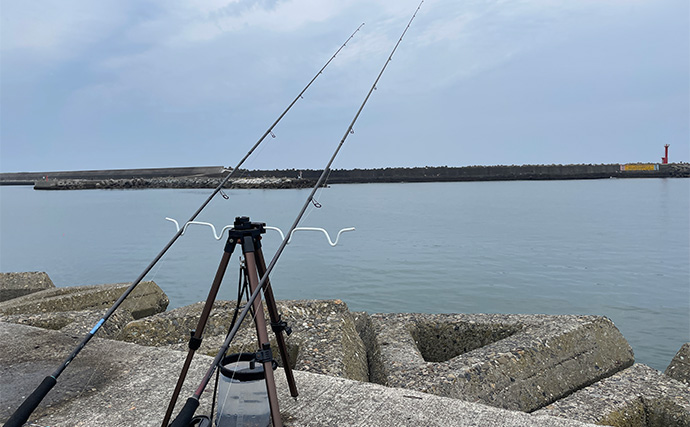 「超」釣り初心者が実際にした失敗3選　欲張りすぎは釣れない＆楽しくないかも