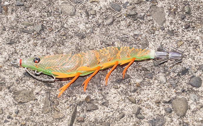 「まさにエギングパラダイス！」DUELのエギ4種を駆使して良型アオリイカ捕獲成功【天草】