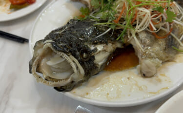 80cmにもなる世界最大のハゼ『ゴビー』　超絶美味だけど泣く子も黙る高…