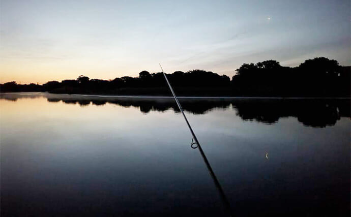 イクメンは子供寝かしつけ後の短時間に魚を釣る！ 短い時間で釣果をあげる3つのコツ