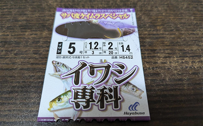 堤防サビキ釣りでマイワシが入れ食い！【宮城・女川】サイズは20cm級と良型