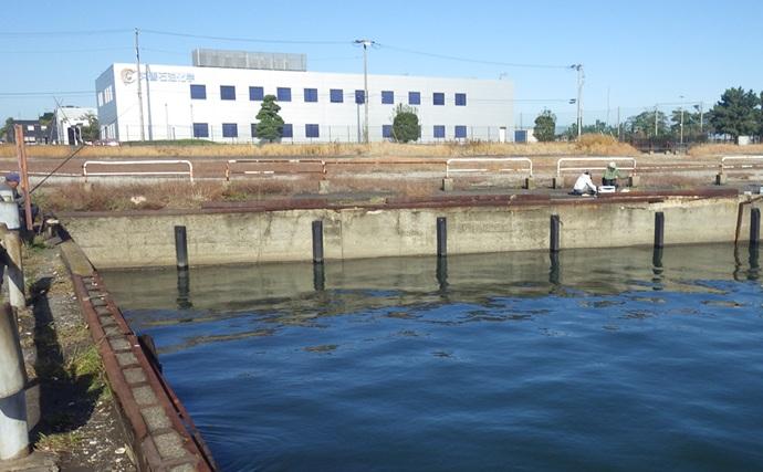 落ちハゼ釣りで13cm頭にマハゼ9匹をキャッチ【千葉】釣れれば良型率高め