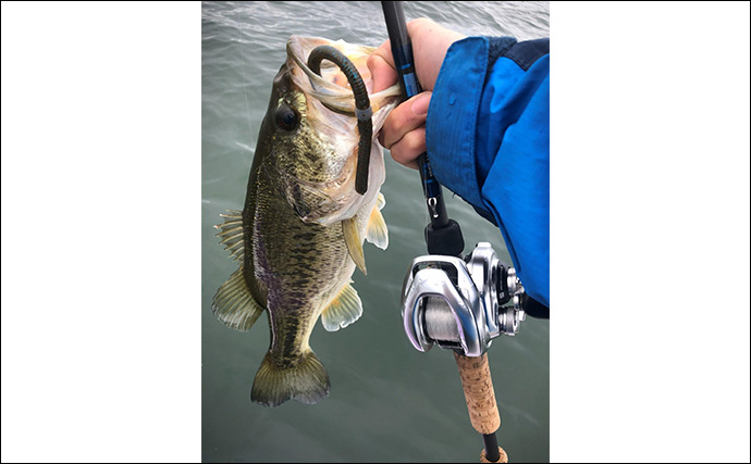 【マイクロガイドのメリット・デメリット】 バス釣りでの本当の使いどころを解説