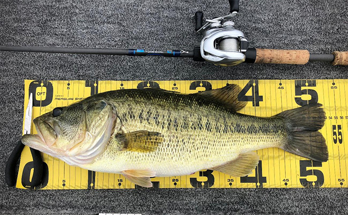 【マイクロガイドのメリット・デメリット】 バス釣りでの本当の使いどころを解説