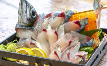 関あじ＆関さばがブランド魚になった3つの理由　大分県が誇る高級魚の旬は…