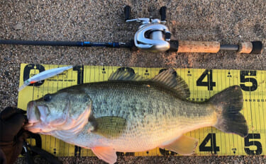 【マイクロガイドのメリット・デメリット】 バス釣りでの本当の使いどころ…