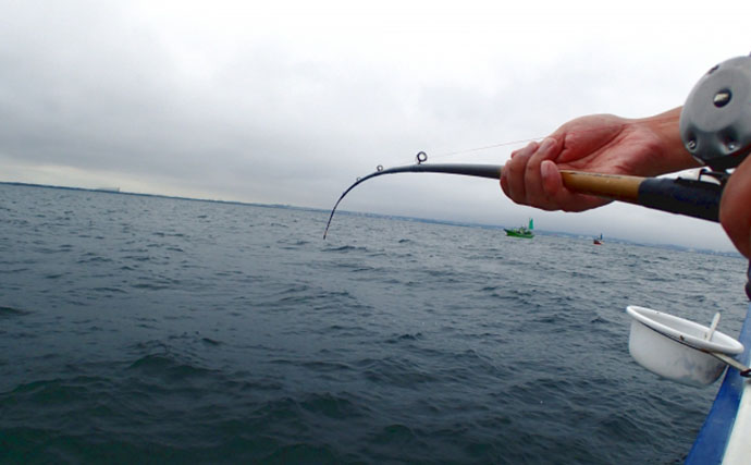 関あじ＆関さばがブランド魚になった3つの理由　大分県が誇る高級魚の旬はいつ？