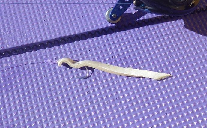 東京湾の天秤タチウオ釣りで16匹【川崎・つり幸】 細かなシャクリに好反応