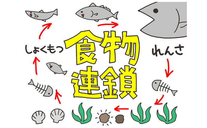 要注意！＜食べると危険なサカナたち＞　魚が持つ毒にはどんなものがある？