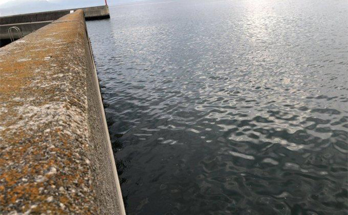 陸っぱりから秋のヒラメを追う！ クロダイ・マゴチ・キジハタと多彩ゲストと対面