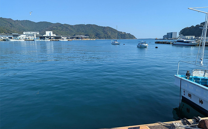 堤防サビキ釣りでマイワシが入れ食い！【宮城・女川】サイズは20cm級と良型