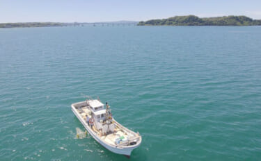 日本沿岸はマイクロプラスチックのホットスポット　海底への蓄積など汚染実…