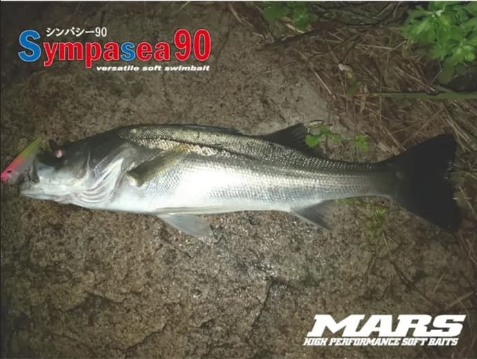 秋の釣りが各地で本格化！＜メジナ・シーバス・クロダイ＞好釣果が続出【全国の釣果速報6選】