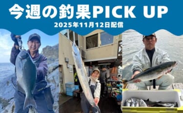 秋の釣りが各地で本格化！＜メジナ・シーバス・クロダイ＞好釣果が続出【全…