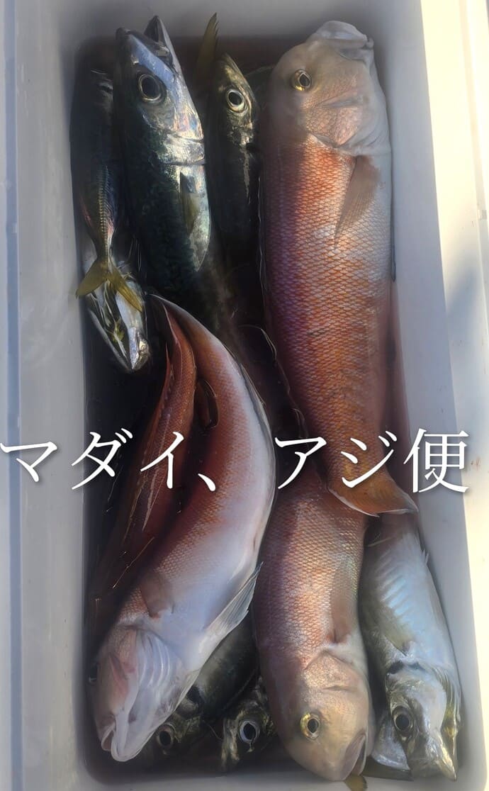 ＜長崎県・五島列島＞メジナ5尾で5kgオーバー＆最大45cm【全国の釣果速報4選】