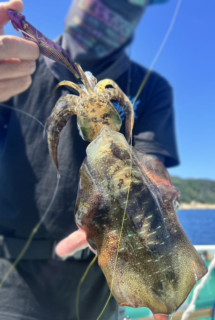 11月22日＜いい夫婦の日＞に釣り体験はいかが？　1本の竿で共同作業【今週の釣りニュース4選】