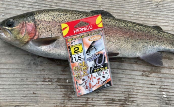 ダイワからタチウオジギング専用フック新発売　貫通力が最大40％アップ？【今週のおすすめ釣行アイテム4選】