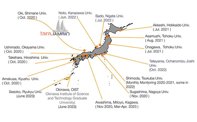 日本沿岸はマイクロプラスチックのホットスポット　海底への蓄積など汚染実態が明らかに