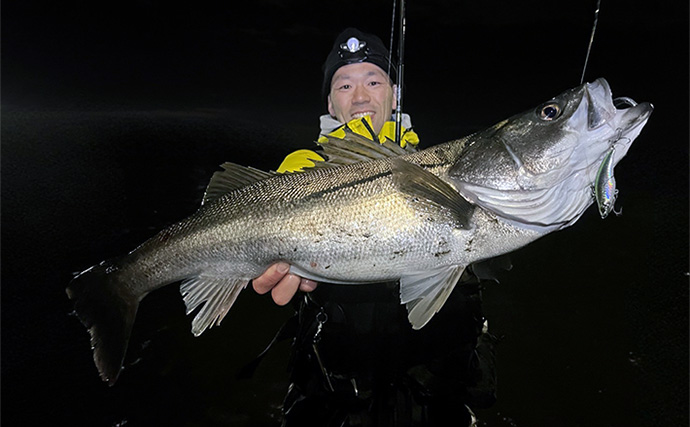東京湾奥で75cm「極太」シーバス堂々浮上！ コノシロの群れに付く個体を狙い撃ち