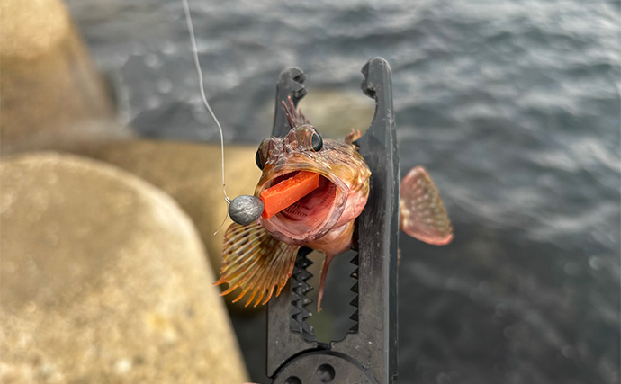 「型狙いでも数狙いでもなし」 冬の釣りの醍醐味は1尾を目指すことにあり？