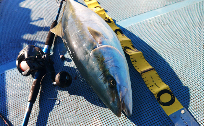 「諦めない心が奇跡を呼んだ！」今が旬の串本カセでメジロ級の寒ブリをキャッチ【大裕丸】