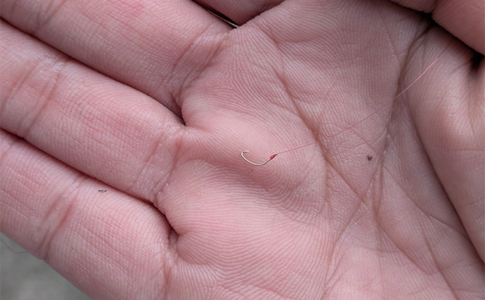 減水水路のタナゴ釣りで50匹超え達成【京都】 岸際の浅場を極小仕掛けで攻略