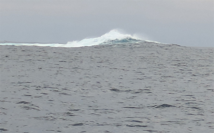 マハタジギングでまさかのシイラがヒット【三重】季節外れの連発の不思議