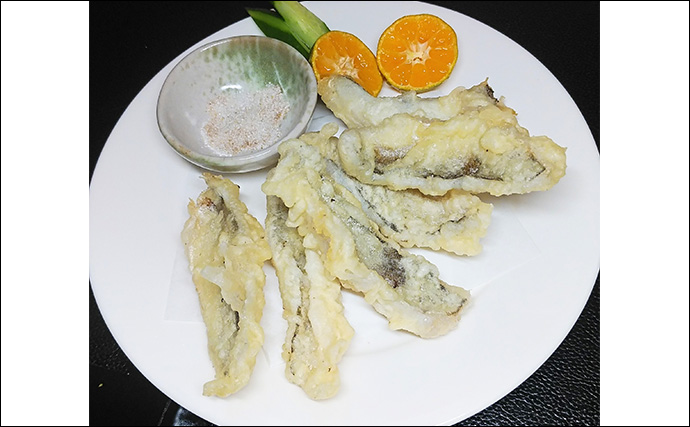 釣った魚で作る「ビールのあて」レシピ：セイゴのサクッと揚げ　市販の天ぷら粉でOK