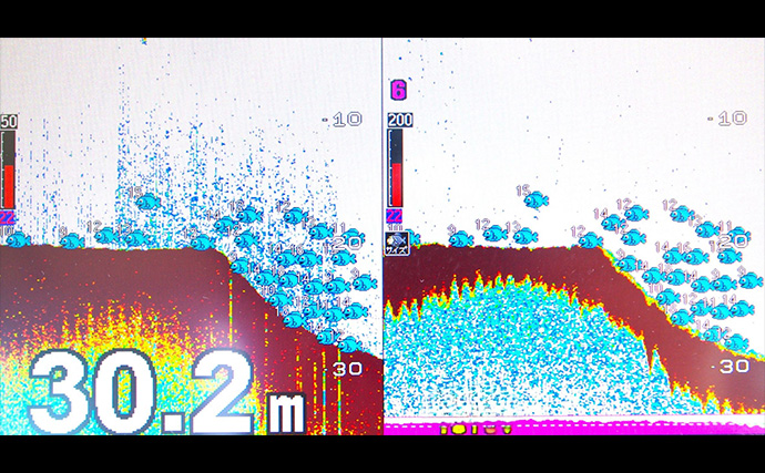 明石沖ボートジギング釣行で50cm級ハマチ2匹　強いベイト反応出ればチャンス！