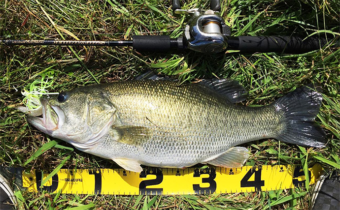 あたり前に使ってるけど意外と知らない【SICリングのメリット・デメリット】