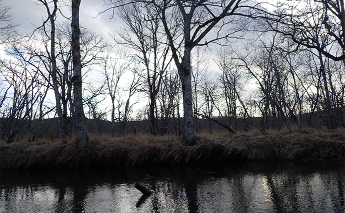 釧路湿原で「幻の魚」イトウを追う　静けさが支配する大自然をカヌーで進む