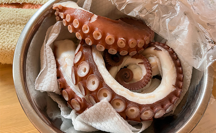 【鈴木斉プロ解説】常磐沖・渡りタコのヒット率アップ術 「エサの有無よりエギサイズが重要？」