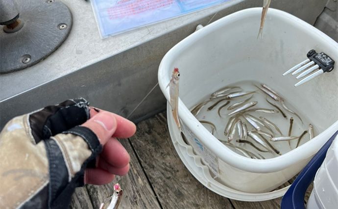 「こんな日はやめておこう！」ファミリーやカップルでも楽しめるボートワカサギ釣りの注意点