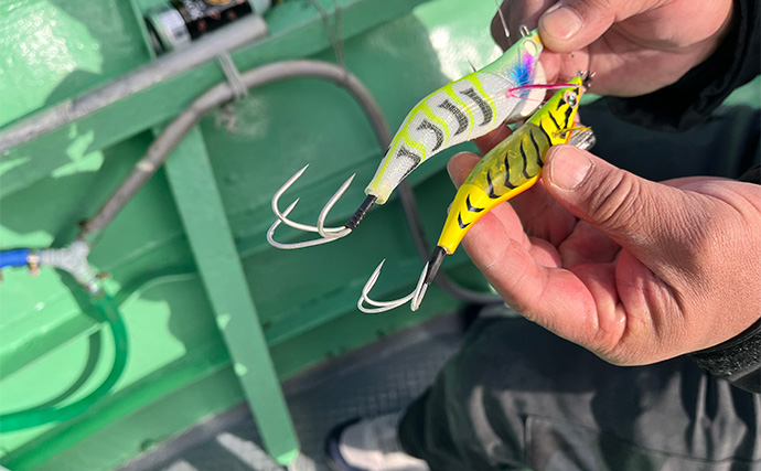 【鈴木斉プロ解説】常磐沖・渡りタコのヒット率アップ術 「エサの有無よりエギサイズが重要？」