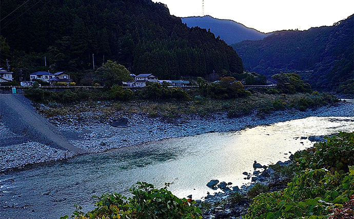 天竜川ルアーフライテンカラ専用区のルアー釣りで57cm超え含む大型ニジマス連発！【静岡】