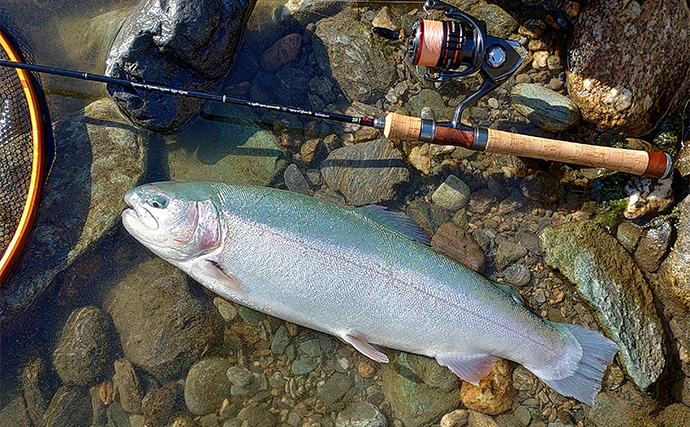 天竜川ルアーフライテンカラ専用区のルアー釣りで57cm超え含む大型ニジマス連発！【静岡】